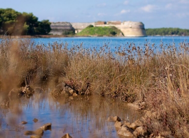 Šibenik - grad tvrđava