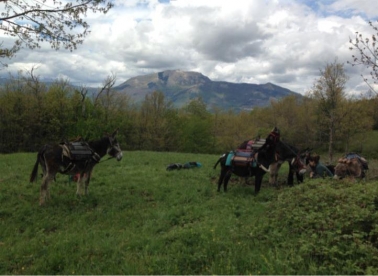 Na trekking u Italiju